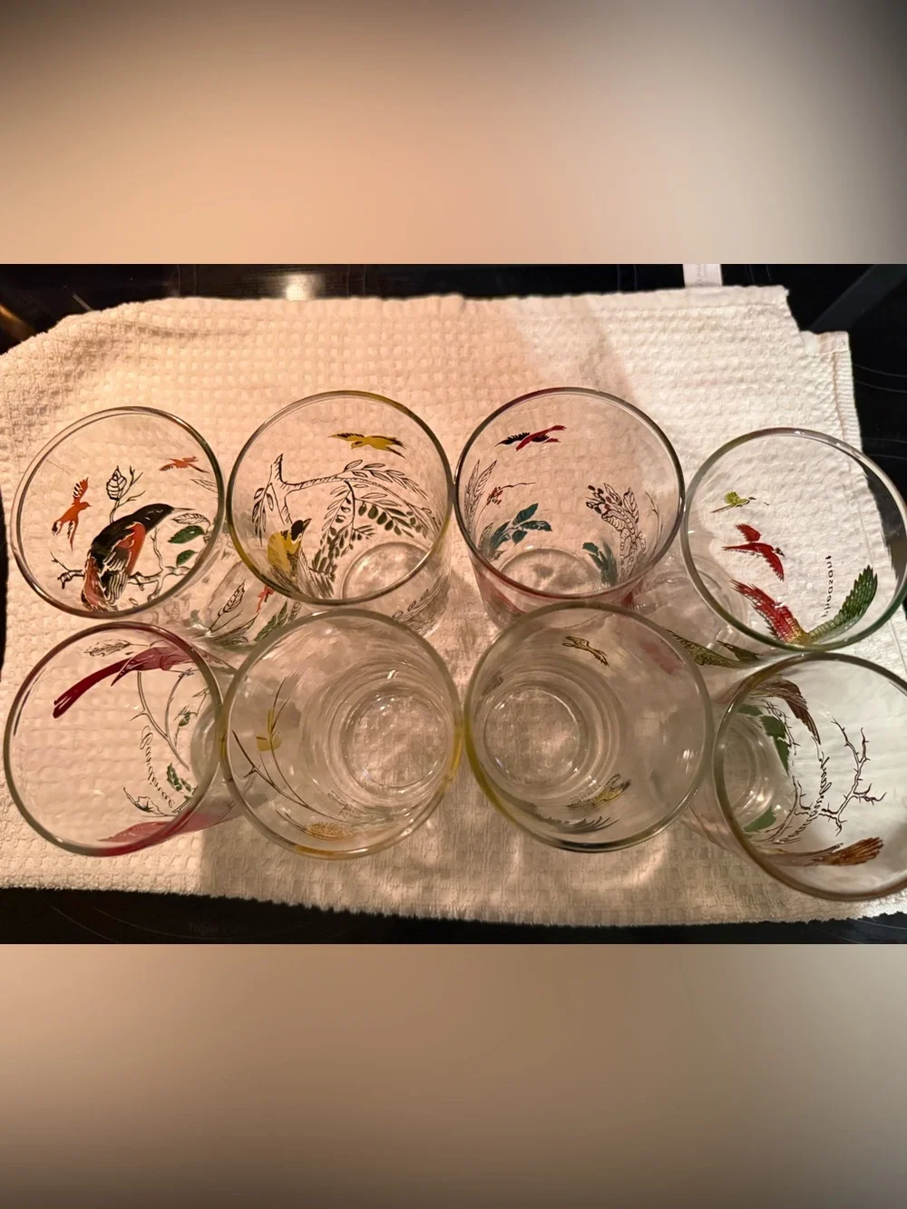 Vintage Bird-Print Glass Tumblers - Colorful Set